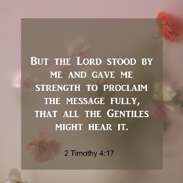 2 Timothy 4:17