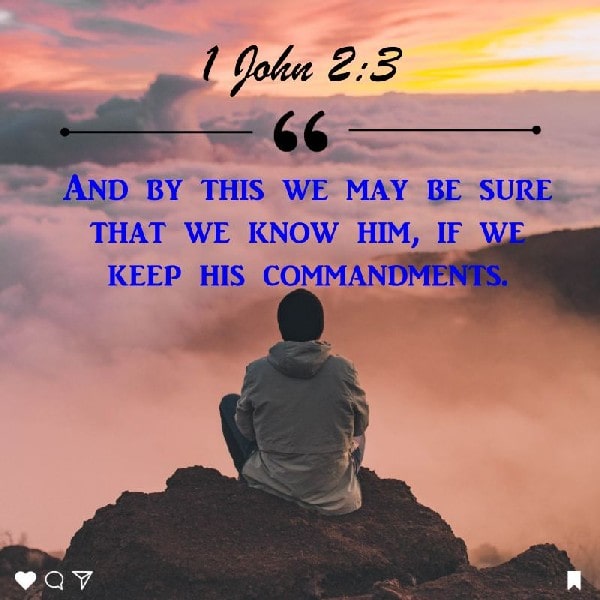 1 John 2:3