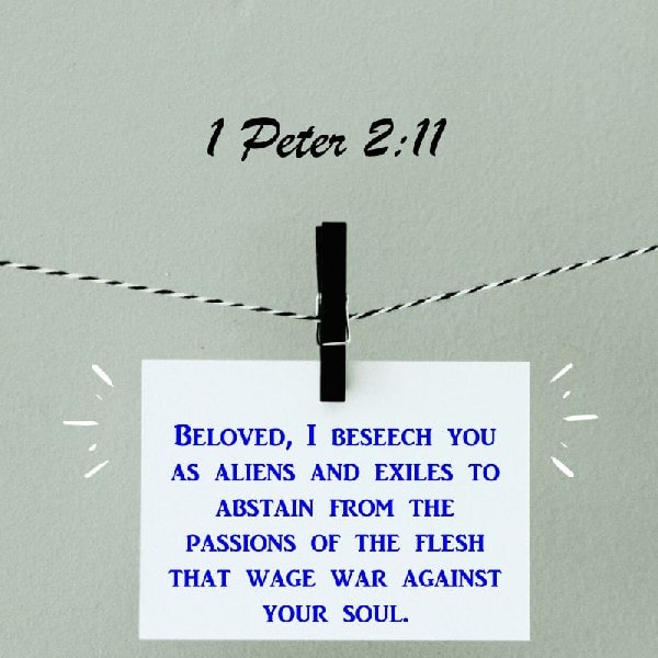 1 Peter 2:11