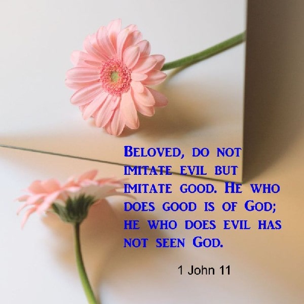 3 John 11